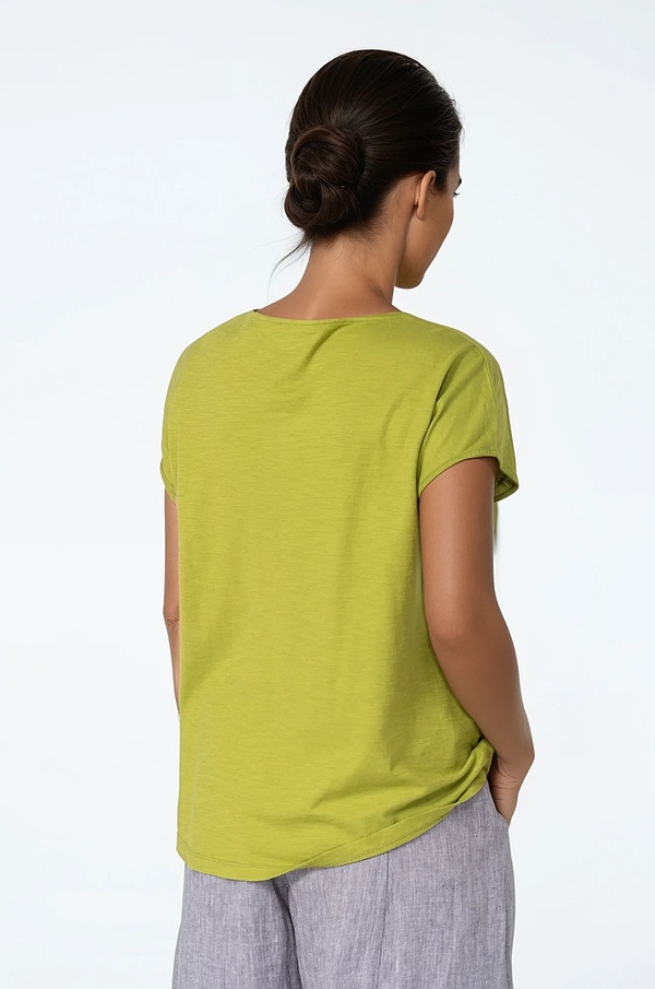 Shirt 515 - Jersey de Coton Bio - 750MATCHA - 10250110062