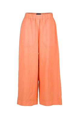 Trousers 009