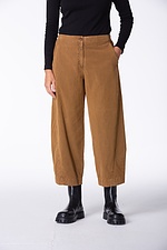 Trousers 421 852SISAL